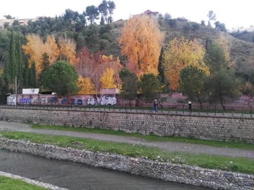 Apartamento: El Rinc�n de Felisa.