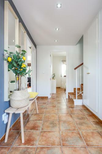 Fant�stica Casa-piscina Comunitaria Y Jard�n 8px