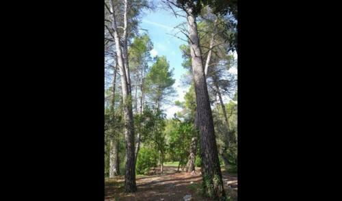 Villa In Horta de Sant Joan Sleeps 8 With Pool