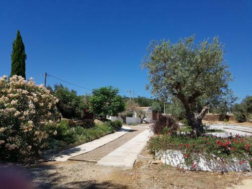 Hostal Horta Da Coutada