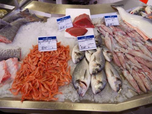 Hostal Alojamento Local Bela Vista