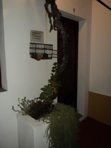 Bed & Breakfast Alojamento Pero Rodrigues