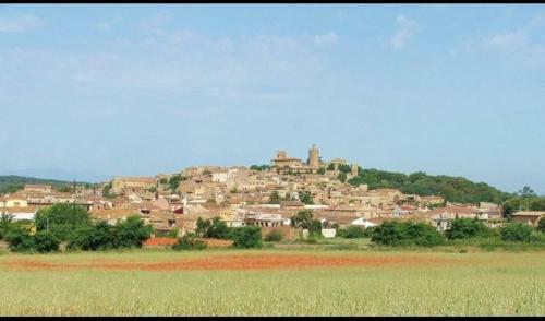 Villa In La Bisbal Sleeps 4 With Pool