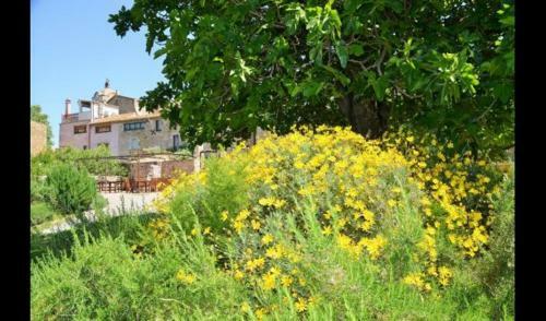 Villa In La Bisbal Sleeps 4 Includes Swimming Pool
