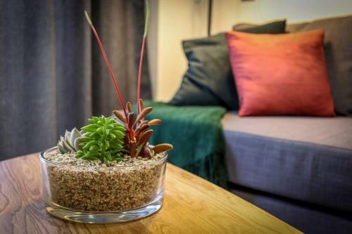 Apartamento Flatguest Verdan + Beach + Balcony + Renovated