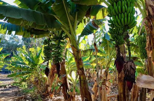 Hermosa Casa En Las Monta�as Con Piscina Privada Y Barbacoa