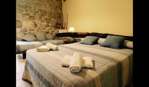 Les Planes D'hostoles Villa Sleeps 19 With Pool