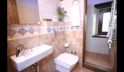 Les Planes D'hostoles Villa Sleeps 19 With Pool