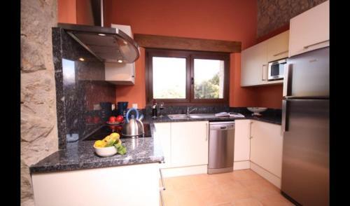 Les Planes D'hostoles Villa Sleeps 19 With Pool