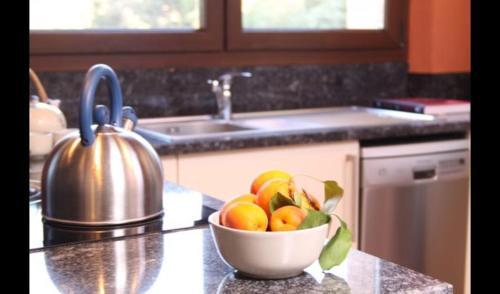 Les Planes D'hostoles Villa Sleeps 19 With Pool