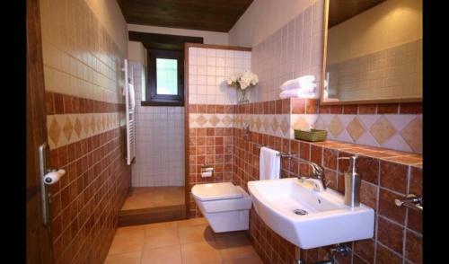 Les Planes D'hostoles Villa Sleeps 14 With Pool
