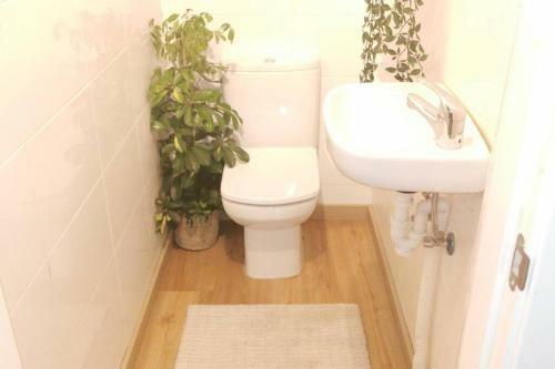 Apartamento Las T�rtolas De Las Rozas