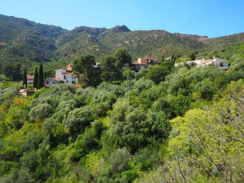 Apartment La Rectoria II