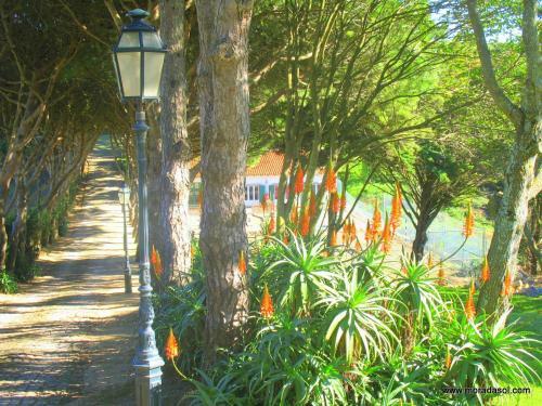 Hostal Morada Do Sol - Cascais Guincho Villas