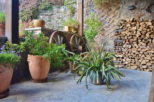 Apartamento Olmares Picos de Europa - 4 Personas