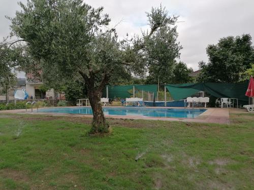 Casa Rosalia O Pazo