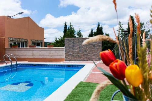 Apartamentos Casa Rural La Pandera