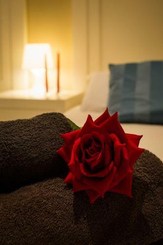Apartamento Holidays2malaga Constitucion High Speed Wifi