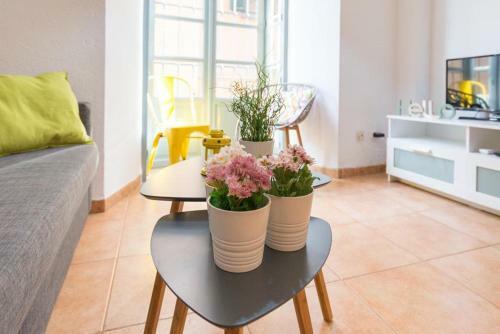 Apartamento Centro Historico Catedral Calle Larios Peq S2