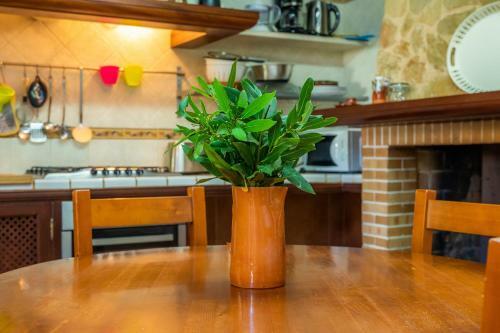 Villa Finca Son Andr�s