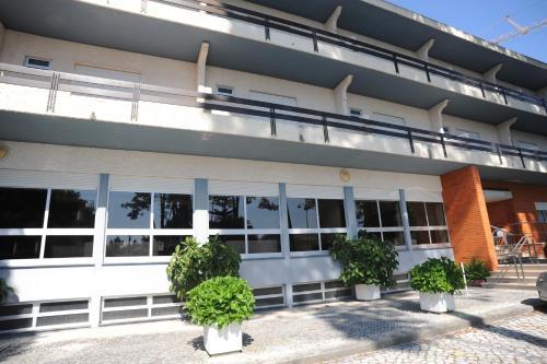 Hotel Colmeia