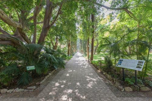 Apartamento En 1� L�nea De Playa