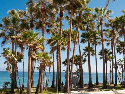 37 - Beach Front Apartment With Pool Views In Las Adeflas