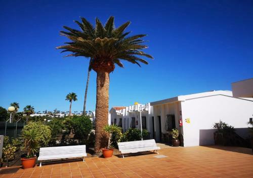 Apartamento Maspalomas Lago Industrial Style