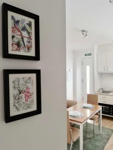 Apartamentos �lite Frida Kahlo