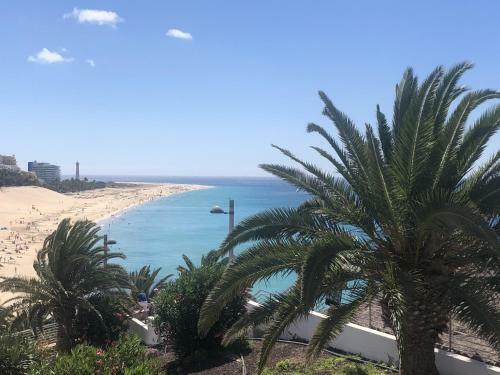 Apartamento Palm Garden Jand�a By Canariasgetaway