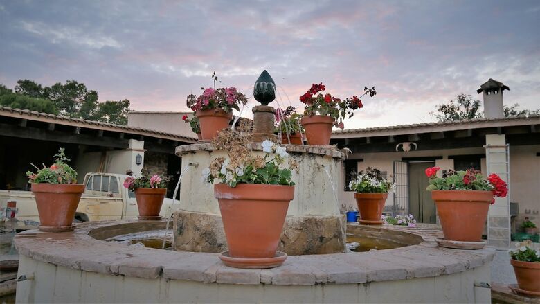 Agroturismo Finca La Constancia