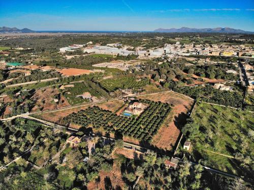 Els Tarongers, Muro 081
