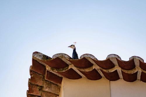 Agroturismo Quinta Da Foz