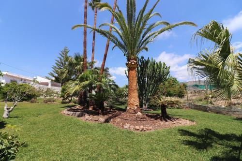 Villa El Romeral Spainsunrentals