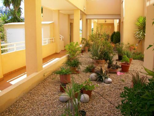 Apartamento Hoyo 12 - Golf & Equestrian Show Oliva