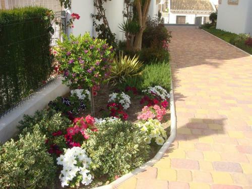 Apartamento Linnea Sol 322