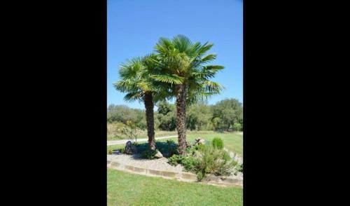 Santa Creu Dels Juglars Villa Sleeps 4 With Pool