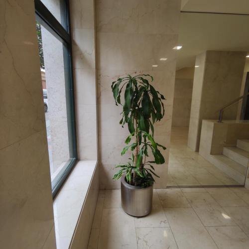 Apartamento De Lujo, Nuevo. Pleno Centro.
