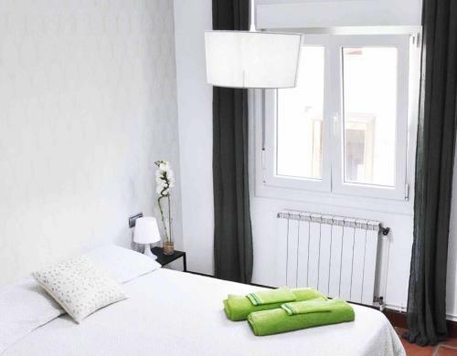Charming 2-bed Apartment In Donostia