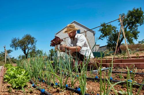 Hotel Monte Do Alamo - Turismo Rural