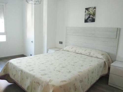 Apartamentos Castillo Pe�iscola 3000