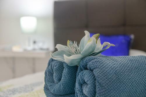 Apartamento Anaca