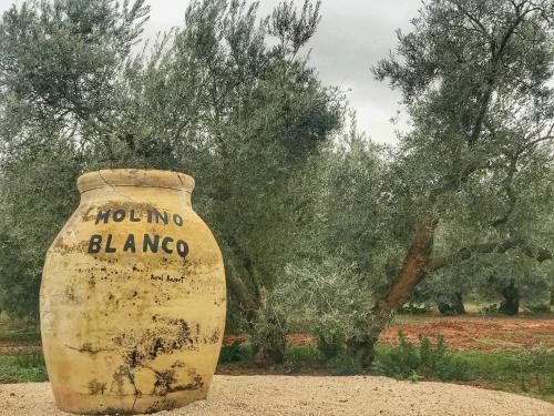 Agroturismo Hacienda Molino Blanco