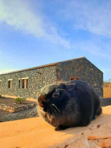 Hostal Agriturismo El Bounty