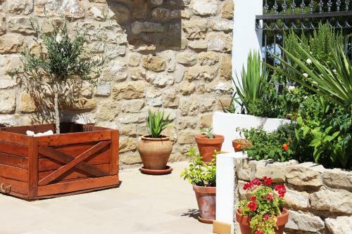 Hotel Rural Molino Del Albaic�n