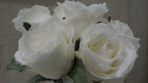 Bartolomeu Beach Apartments