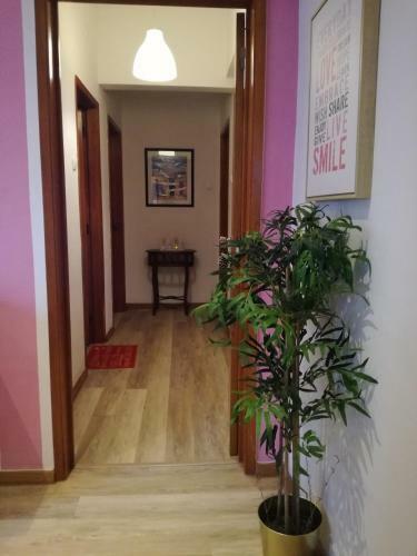 Bed & Breakfast Tavira Guest