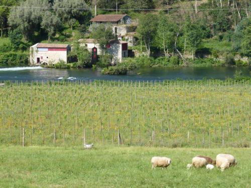 Hostal Quinta Do Burgo - Turismo Rural