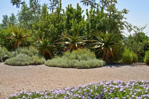 Hotel Rural Quinta Do Marco - Nature & Dining