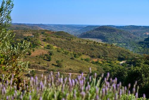 Hotel Rural Quinta Do Marco - Nature & Dining
